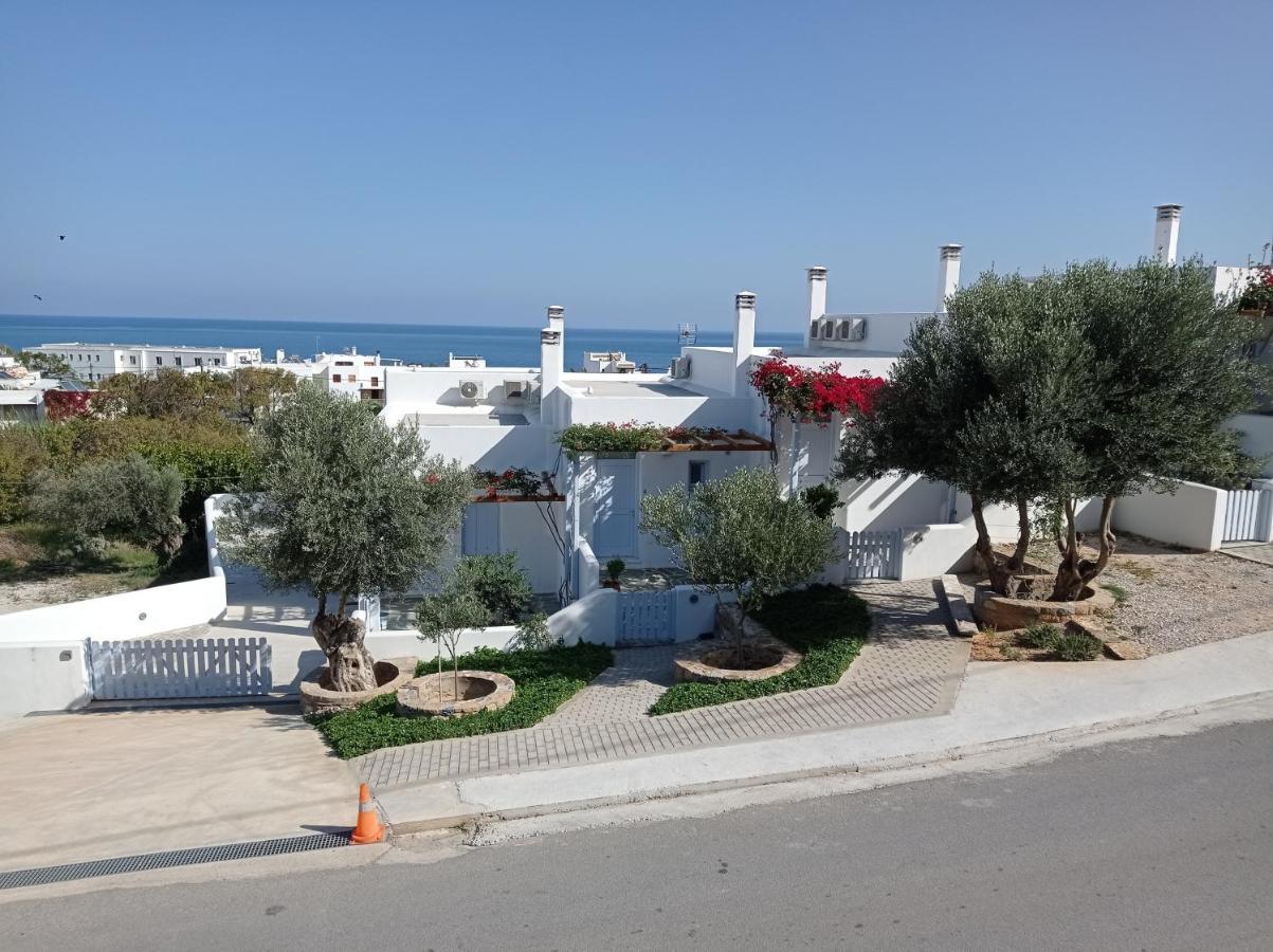 Amphitrite Apartments 스키로스 외부 사진